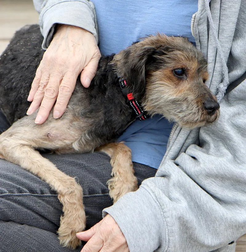 Finnegan thumbnail 2