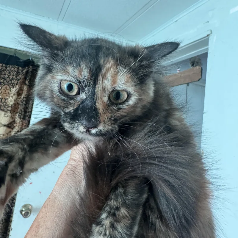 Winnie