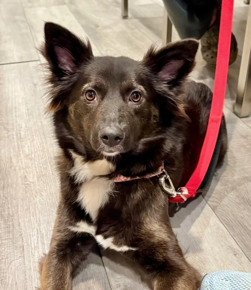 Ruby Riley thumbnail 2