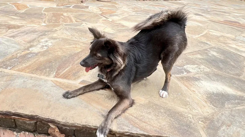 Ruby Riley thumbnail 3