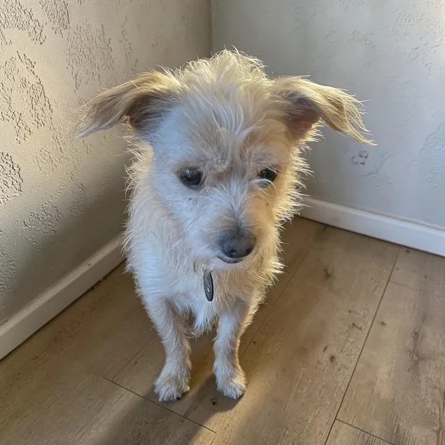 Pooh Bear thumbnail 3