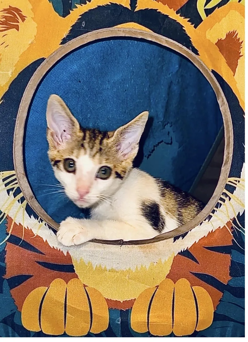 Jack & Jill BONDED thumbnail 6
