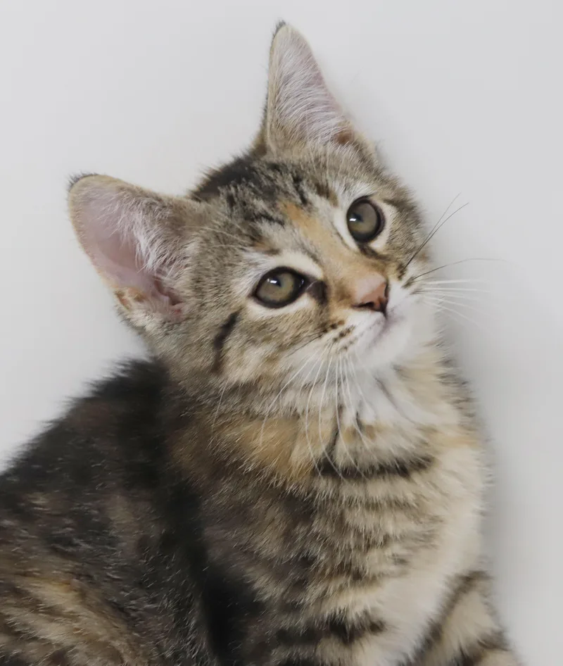 Eloise  The Best thumbnail 2
