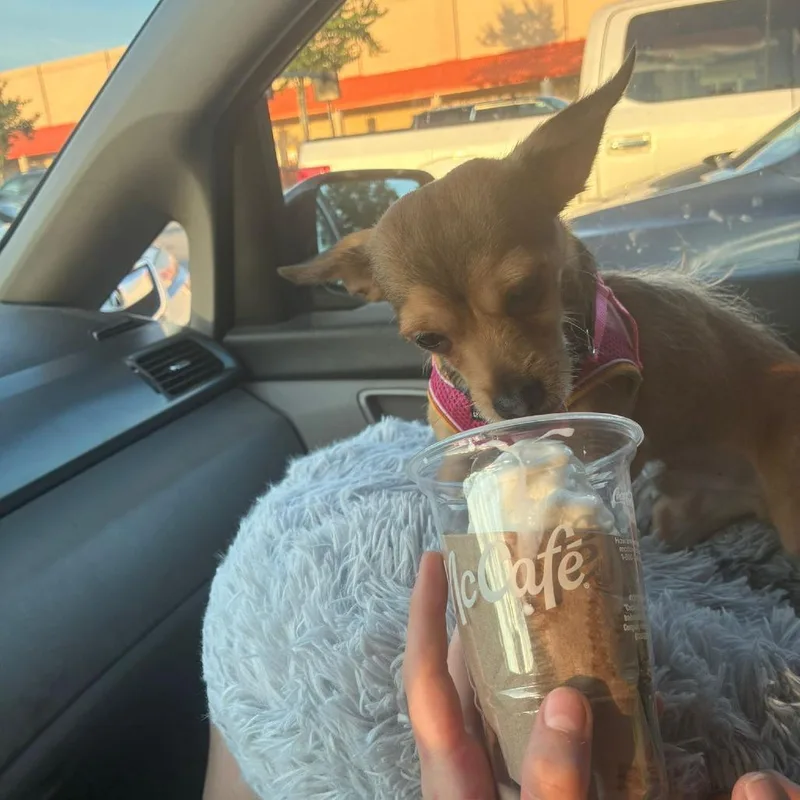 Andy thumbnail 2