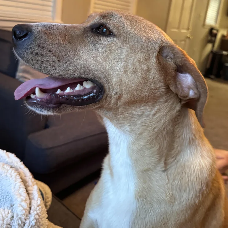 Casey Jones thumbnail 2