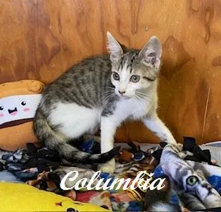 Columbia thumbnail 2
