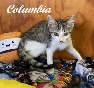 Columbia thumbnail 3