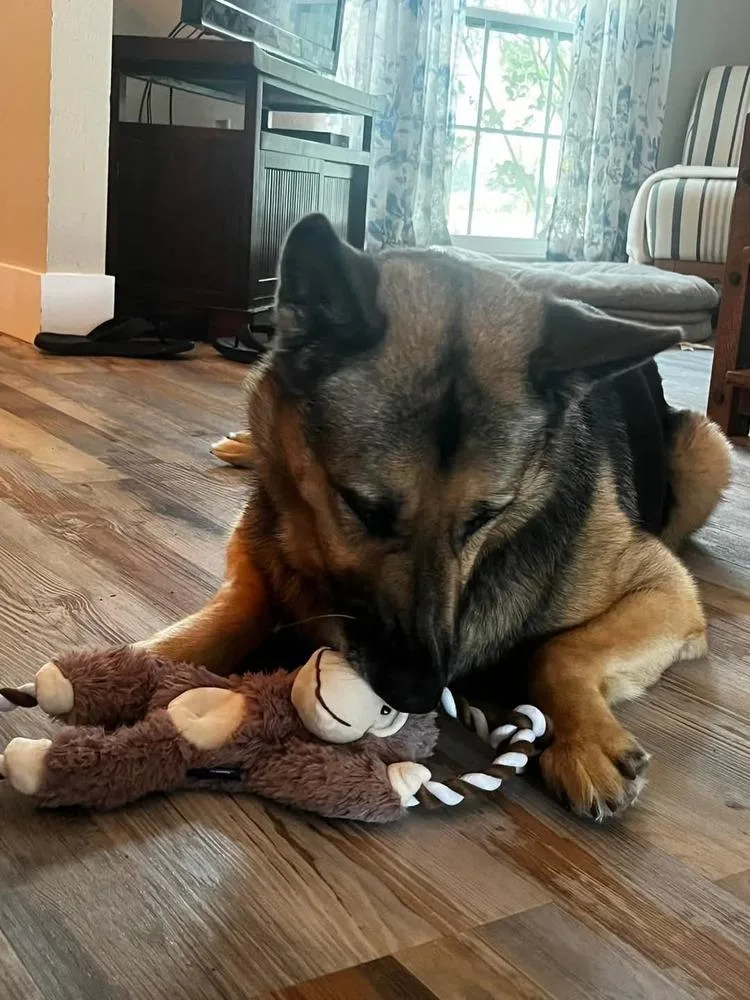 Valkyrie thumbnail 4