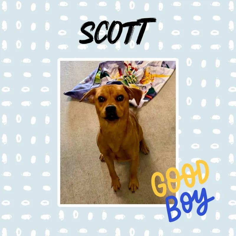 Scott thumbnail 2