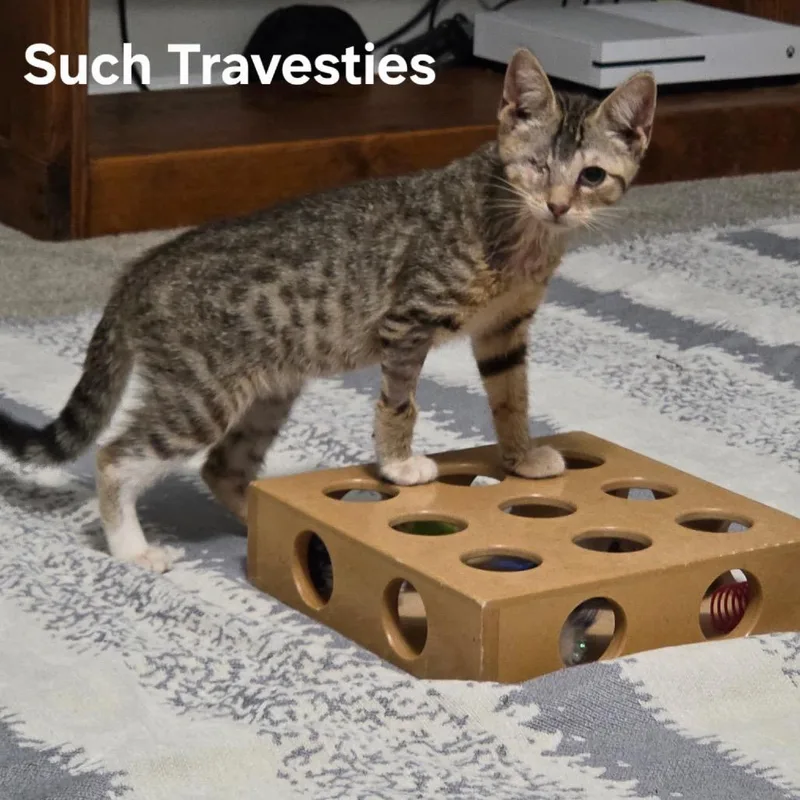 Such Travesties thumbnail 2