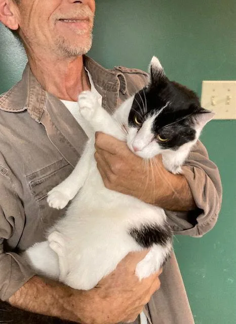 Mervin Bonded With Marla thumbnail 2