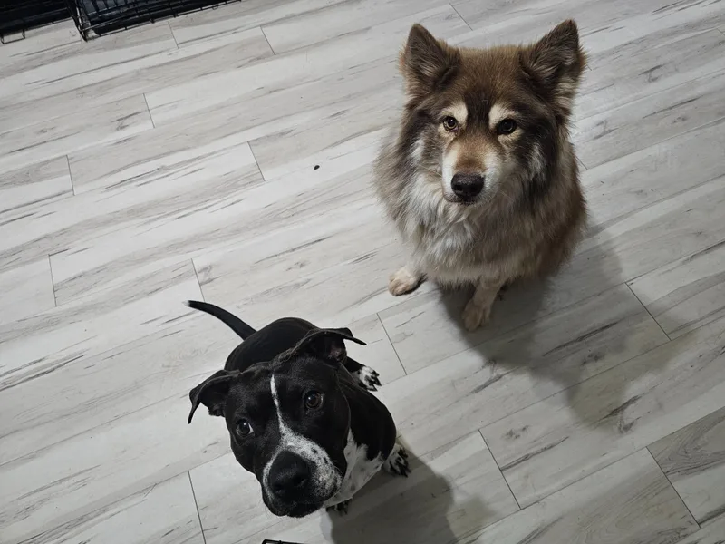 Becky F Johnson thumbnail 2