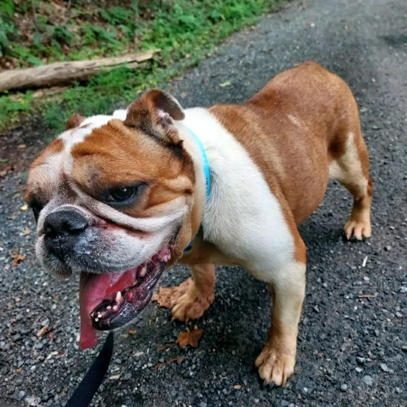 Darla thumbnail 2