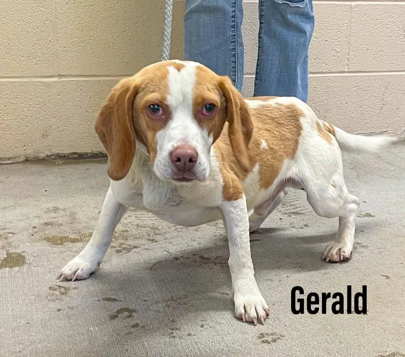 Gerald