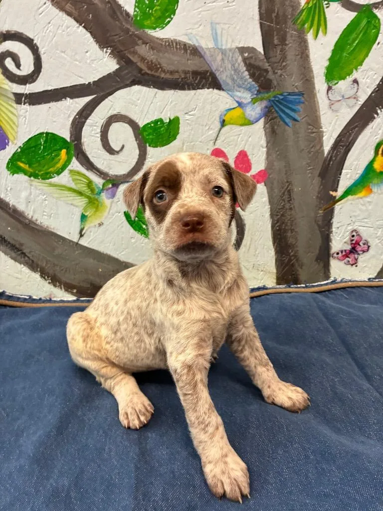 Penelope thumbnail 3