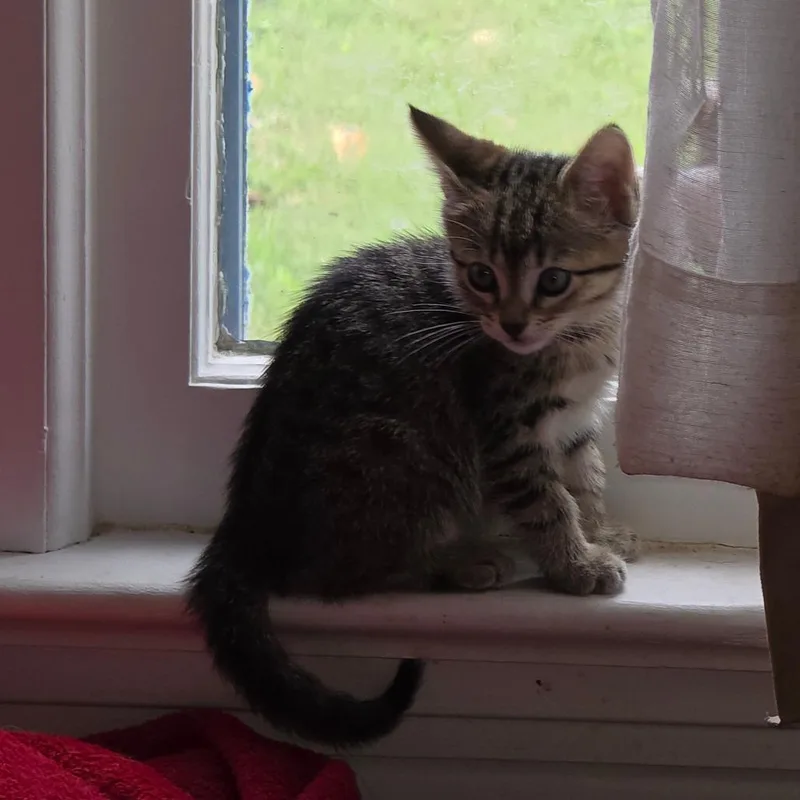 Zoe