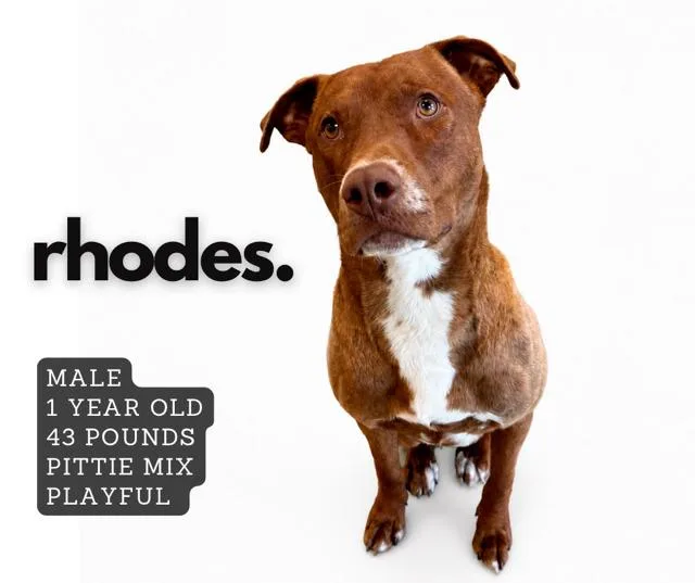 Rhodes