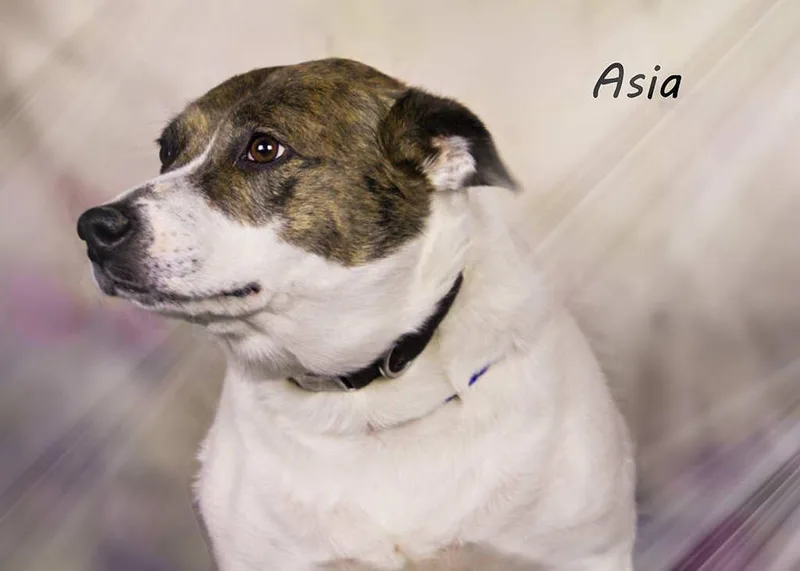 Asia
