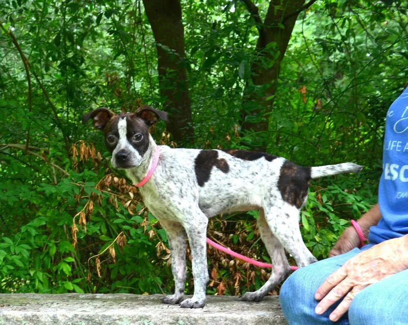 Lottie thumbnail 2