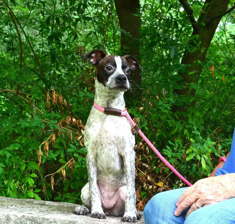 Lottie thumbnail 5