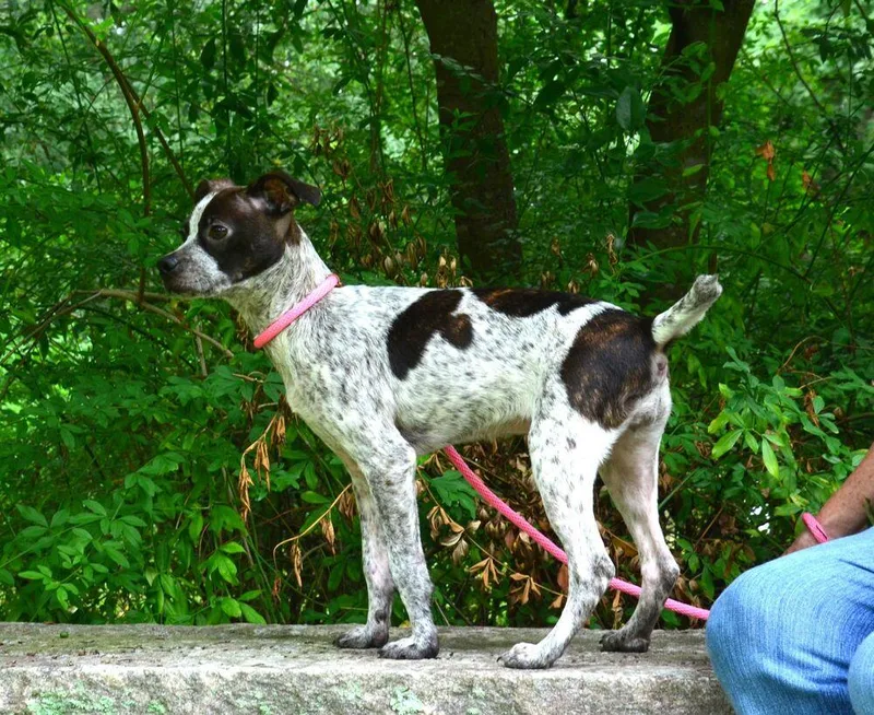 Lottie thumbnail 6