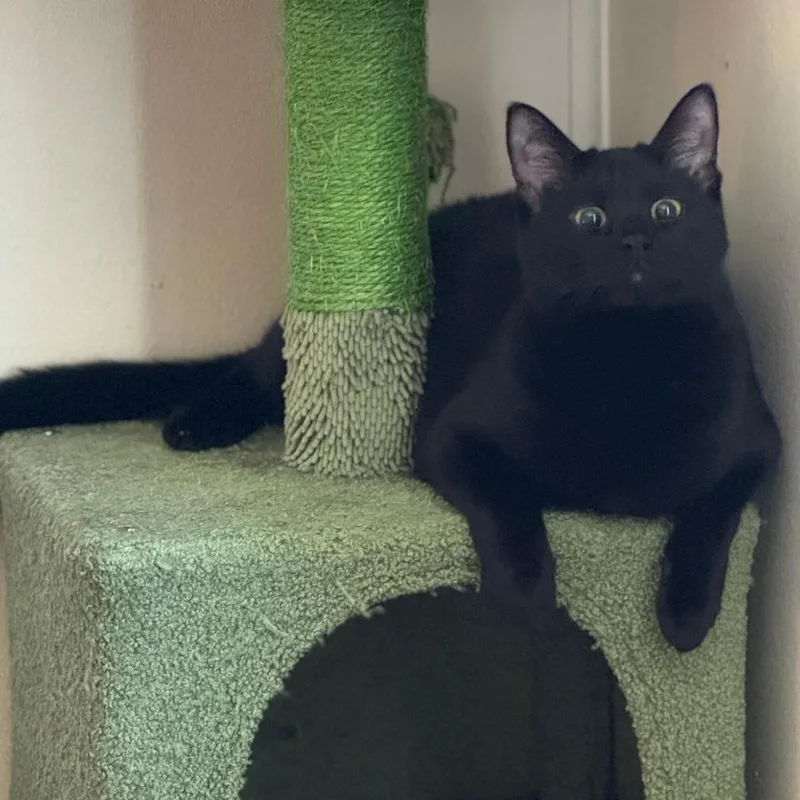 Milton