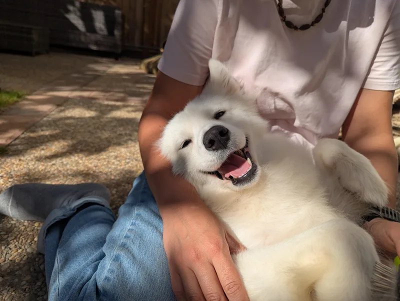 Xena thumbnail 4
