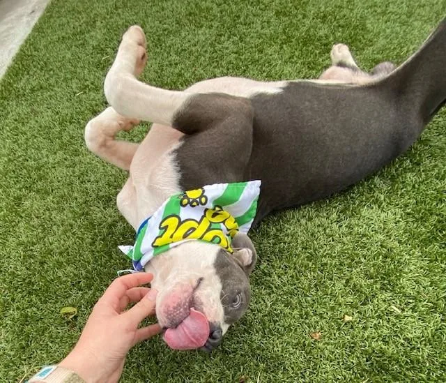 Michael Jackson thumbnail 2