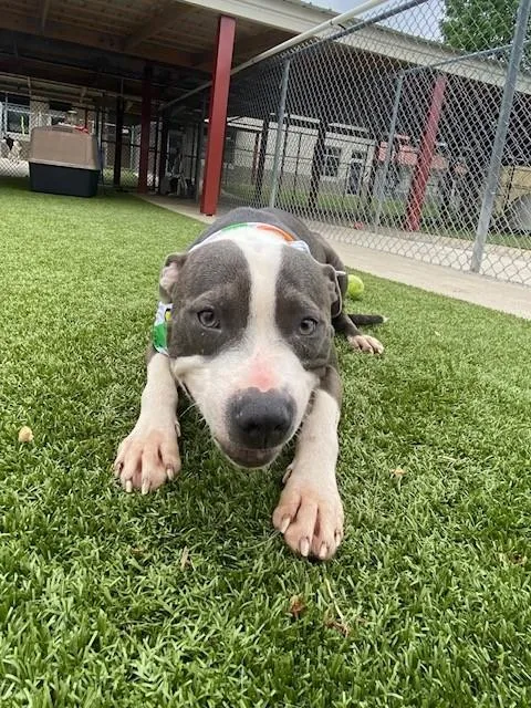 Michael Jackson thumbnail 3