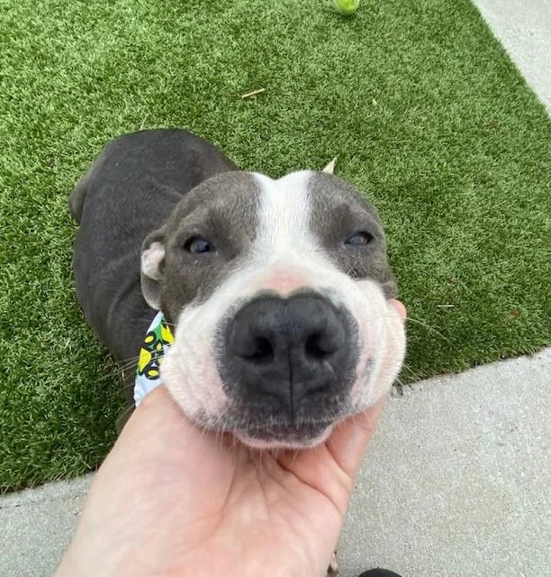 Michael Jackson thumbnail 5