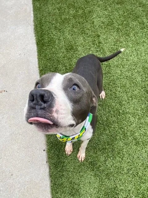 Michael Jackson thumbnail 6