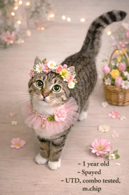 Marvelous Minnie! thumbnail 2