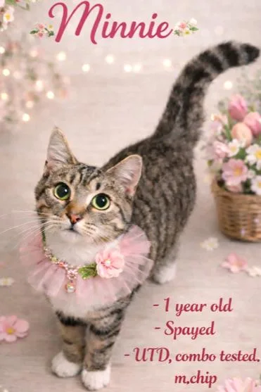 Marvelous Minnie! thumbnail 3