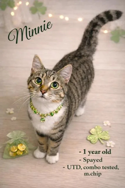 Marvelous Minnie! thumbnail 4