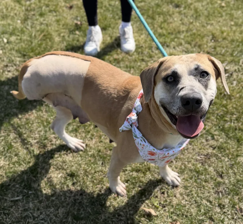 Caroline thumbnail 2