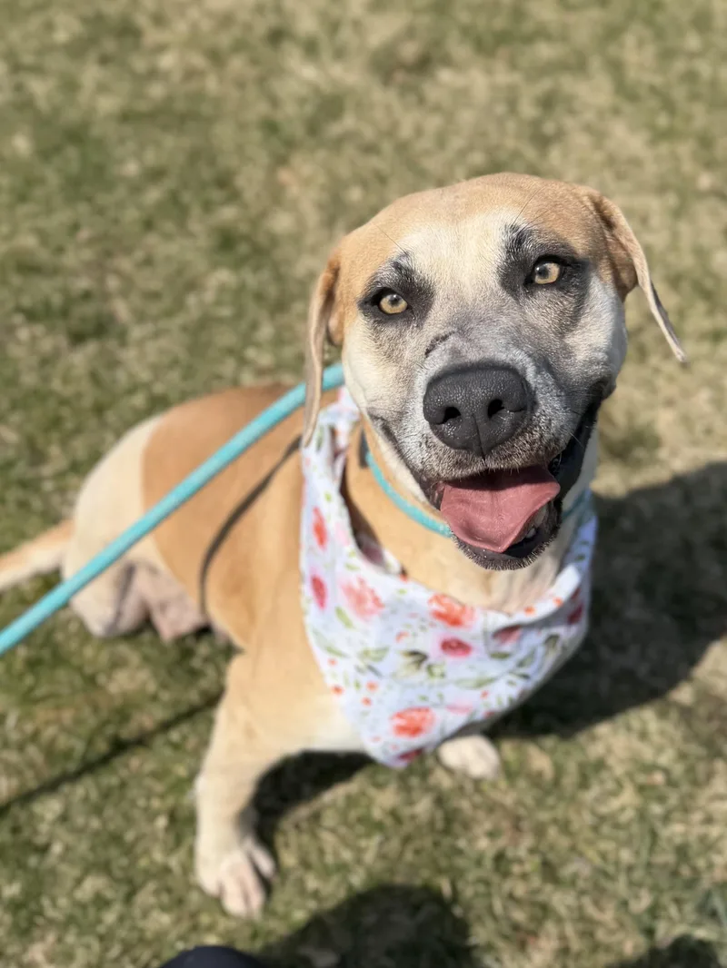 Caroline thumbnail 3