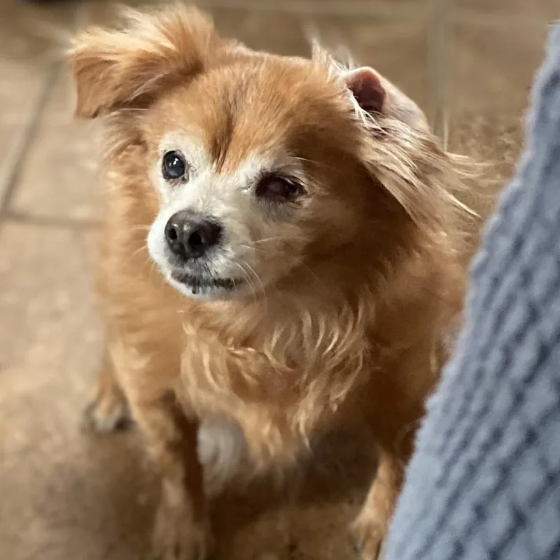 Isabella thumbnail 4