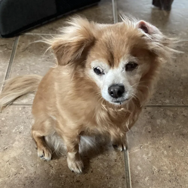 Isabella thumbnail 5