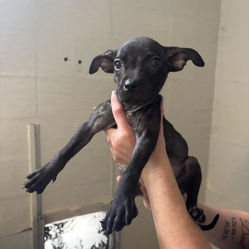 Matilda