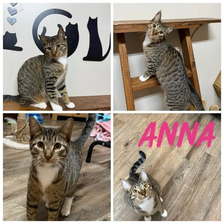 Anna thumbnail 6