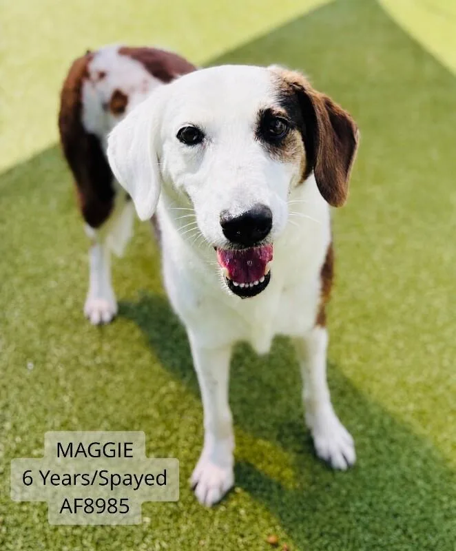 Maggie