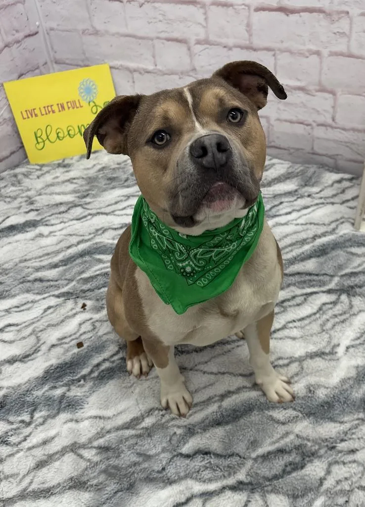 Derpy Tot thumbnail 2