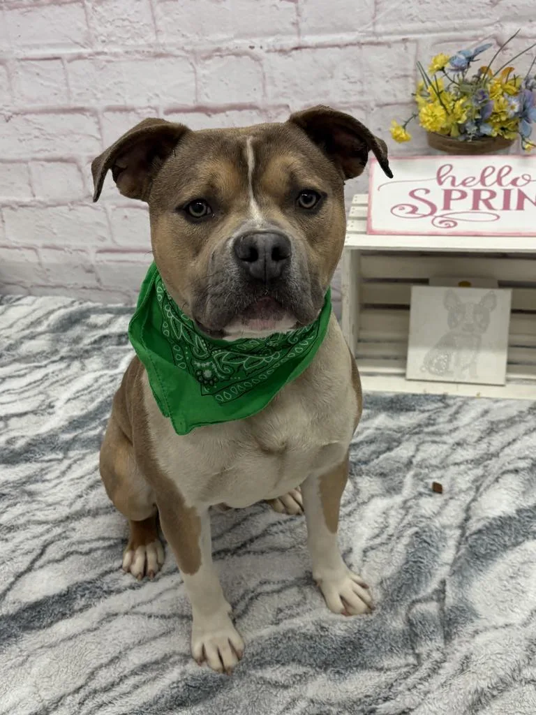 Derpy Tot thumbnail 3