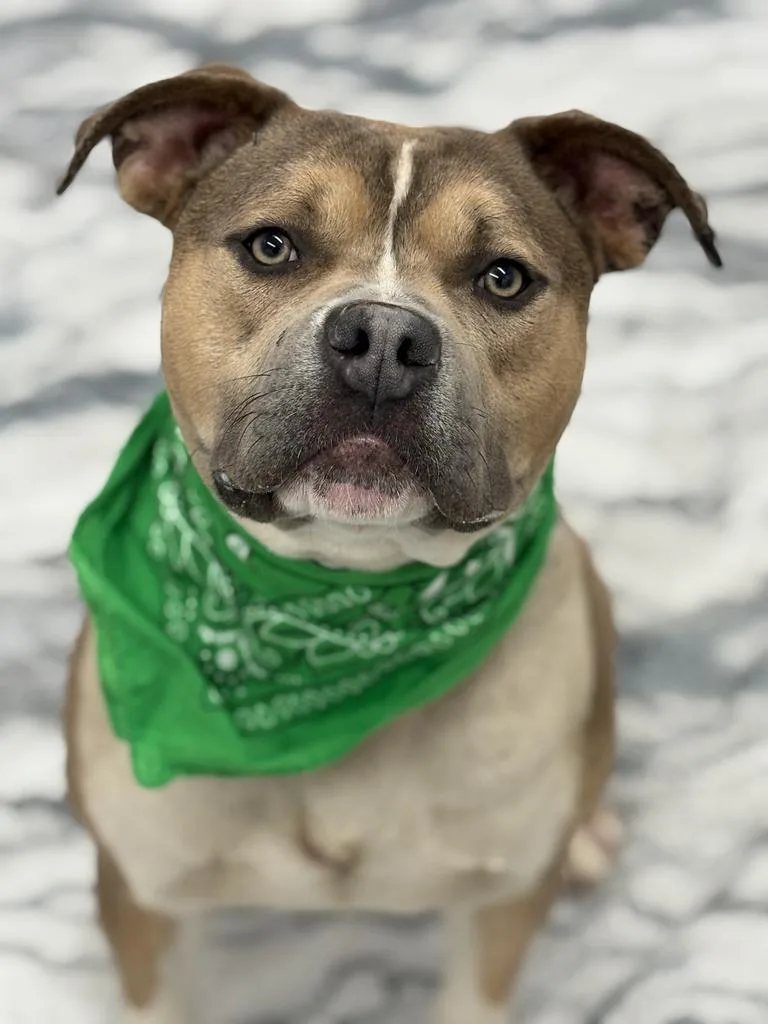 Derpy Tot thumbnail 4