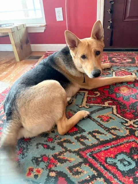 Sally  Super Smart thumbnail 2