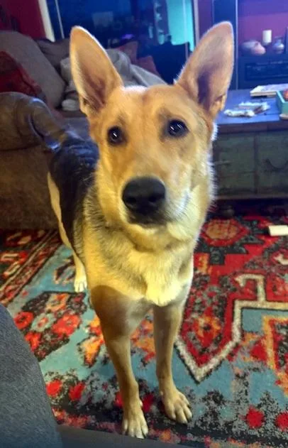 Sally  Super Smart thumbnail 4