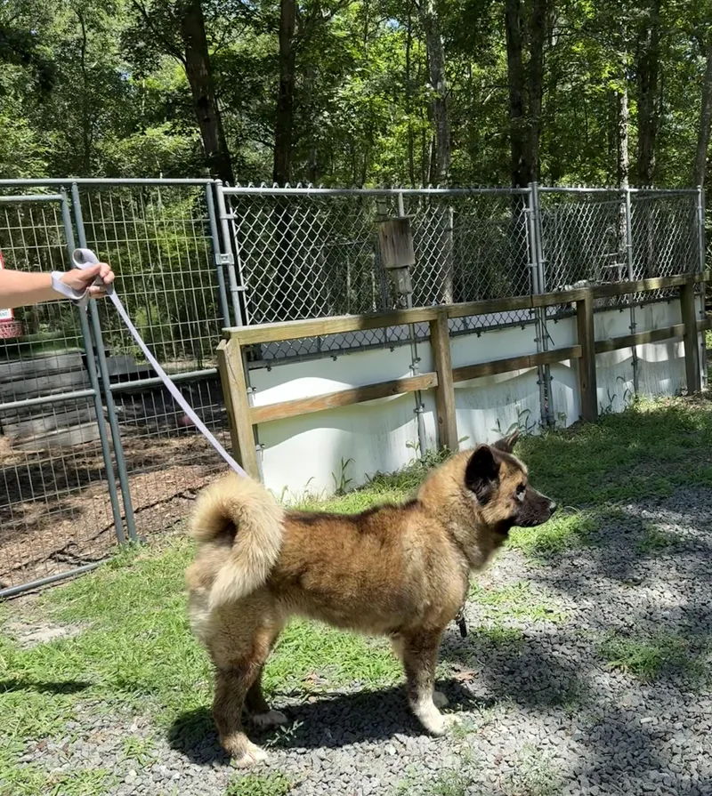 Boo Baby thumbnail 4