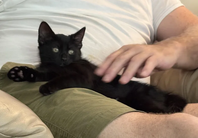 Poppy & Posey thumbnail 4