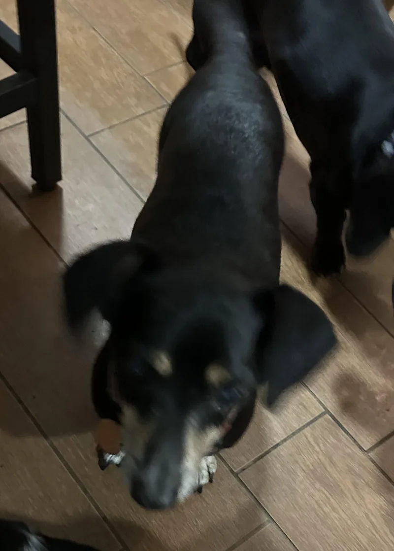 Pete