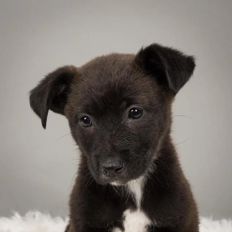 Sunshine thumbnail 2